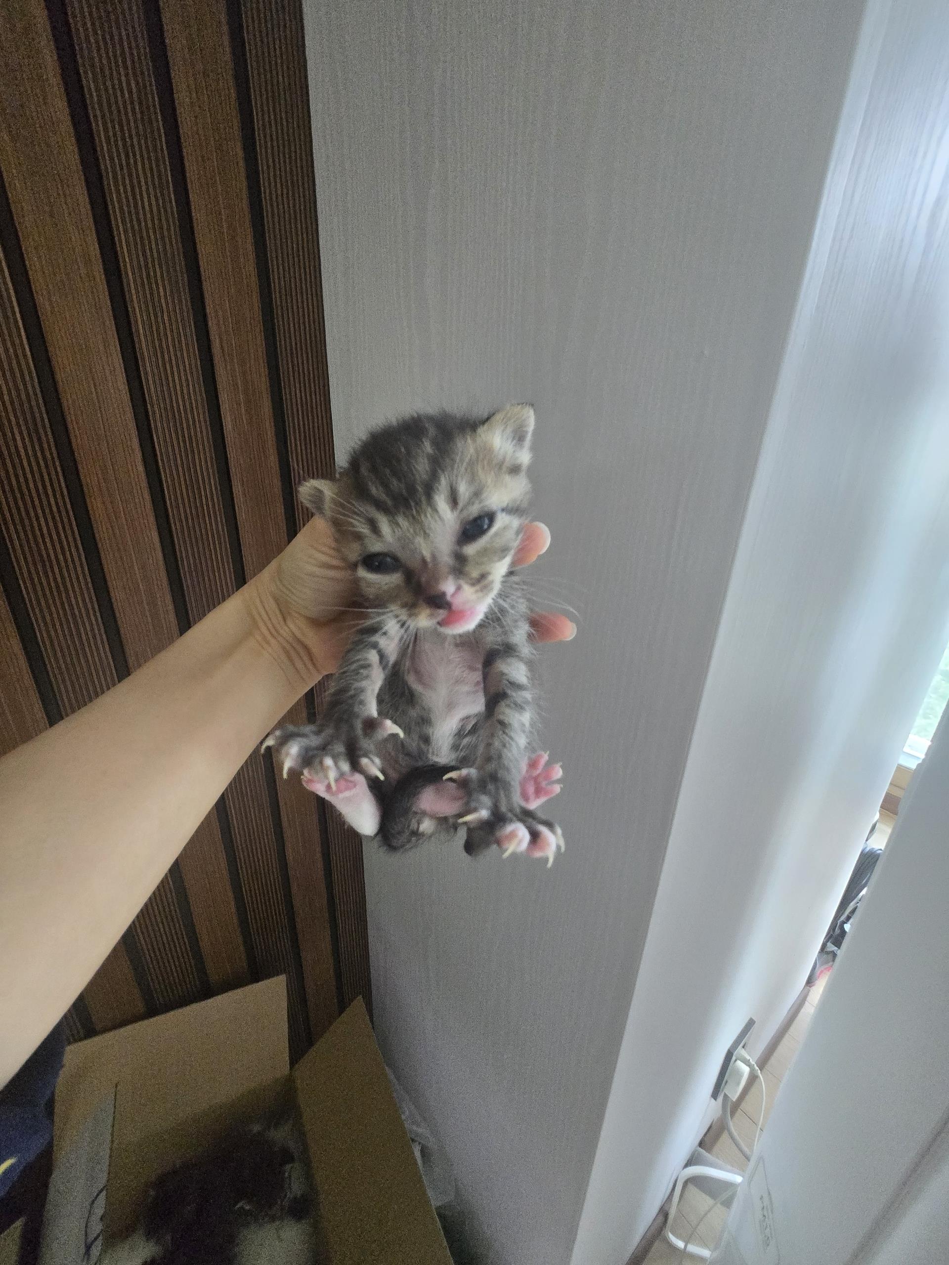 (사)하얀비둘기_426334202500059